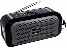 Портативная акустика Telefunken Tf-Ps1244b(черный с серым)