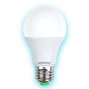 Лампа светодиодная SMARTBUY A60-07W/3000/E27