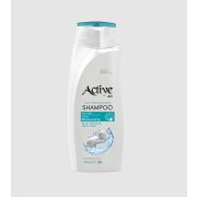 ACTIVE Шампунь увлажняющий CARE & BEAUTY. С протеинами шелка и витамином B5, 350 мл (512102051)