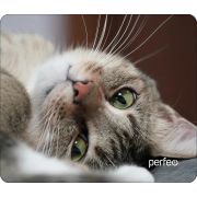 PERFEO (PF_D0660)