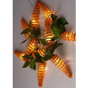 КОСМОС KOC_GIR-B101 Морковки спиральки 10L