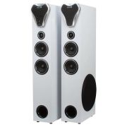 ELTRONIC (20-80) HOME SOUND серебро - колонка 10