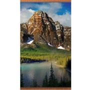 Обогреватель ДОМАШНИЙ ОЧАГ ГОРЫ ТУ 3468-002-75669324-2015