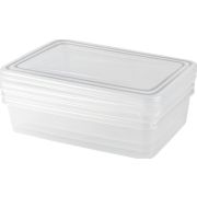 PLAST TEAM PT204312999 Frozen прямоуг. нат. 0,9л (3 предмета)