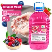 CLEAN&GREEN CG8229 Soapy Light Ягодный десерт 5л