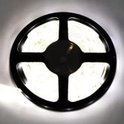 ECOLA P5LW05ESB 4,8W/m 12V IP65 8mm 2800K 5м