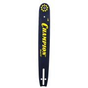 CHAMPION 15