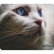 PERFEO (PF_D0669)