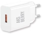 AKSBERRY (6972969383057) T42 QC30 (белый)
