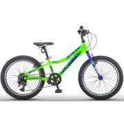 STELS Pilot-250 Gent V 20