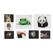 Коврик для мыши DEFENDER (50803) WILD ANIMAL 8 видов ассортимент