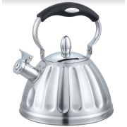 Чайник ALBERG AL-3063