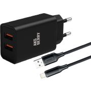 AKSBERRY (6900209210016) T38 2 USB 2.4A + кабель Lightning, черный