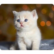 Коврик для мыши PERFEO (PF_D0658) «Cat»