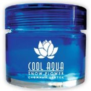 AZARD (СА-13) ароматизатор Cool Aqua, снежный цветок