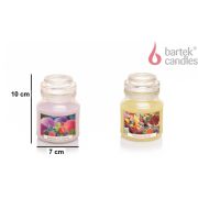 BARTEK Фруктовый (FRUITFUL) 130гр в баночке