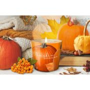 BARTEK Сезон тыквы (Pumpkin Season) 115гр в стакане