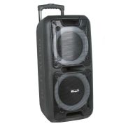 ELTRONIC (20-14) DANCE BOX 300 - колонка 10