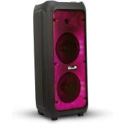 ELTRONIC (20-58) DANCE BOX 500 - колонка 08