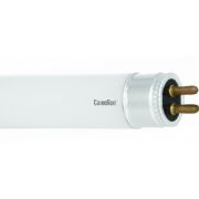 CAMELION (3333) FT5 13W/54 DAY LIGHT 6500K/13Вт