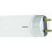 CAMELION (3009) FT8 36W/54 DAY LIGHT 6500K/36 Ватт