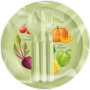 Набор для пикника IDILAND Picnic 12 предметов на 3 персоны (салатовый) 222123320/04