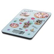 BQ KS1001 Owls