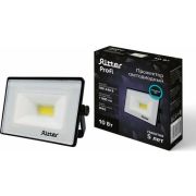 RITTER 53405 5 PROFI 10 Вт/6500К