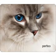 PERFEO (PF_D0657)