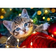 РЫЖИЙ КОТ Алмаз. мозаика (класс.)22х32см. с подр., с полн. заполн. (30 цв.) Котёнок с гирляндой НД-5859 ПП-00208515