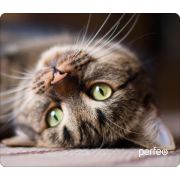 Коврик для мыши PERFEO (PF_D0653) «Cat»